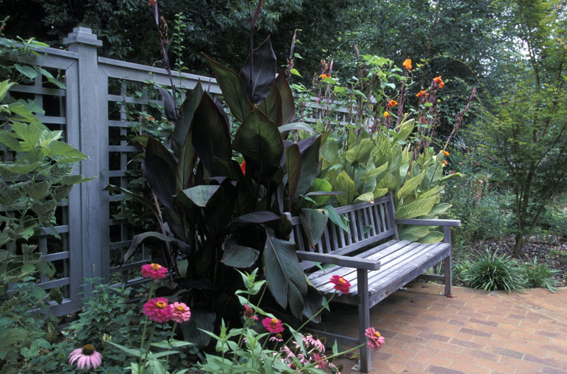 How to Create a Garden Oasis - GNH Lumber Co.