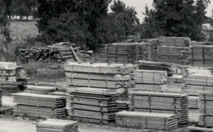 Stacks of lumber in lumberyard