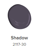 Color of the Year - Shadow