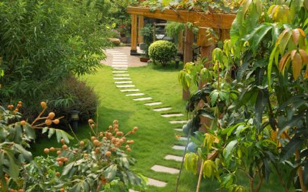 garden oasis stone path