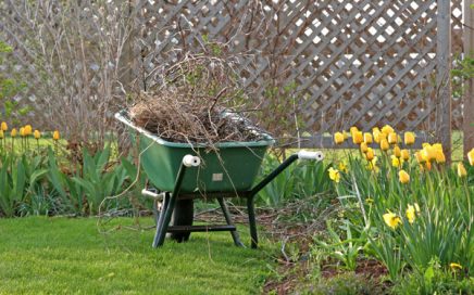 yard cleanup