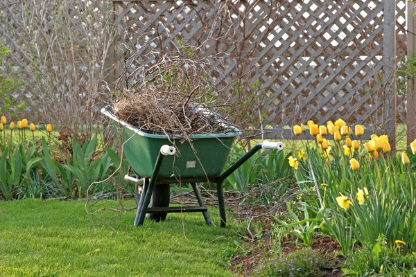 yard cleanup