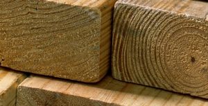 Lumber at GNH