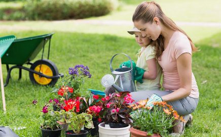 Lawn and Garden Supplies at GNH