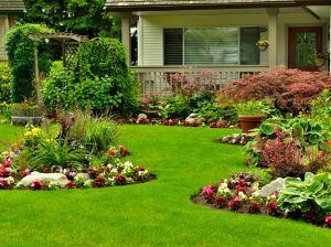 Read the article: How to Keep Your Summer Lawn Healthy and Green