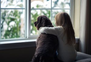 Read the article: What are Some Advantages to Choosing Double Hung Windows?