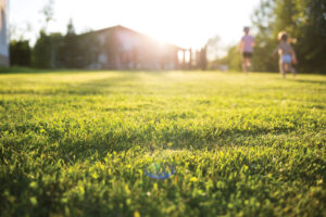 Read the article: 3 Summer Lawn Care Tips from Scotts