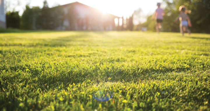 3 Summer Lawn Care Tips from Scotts
