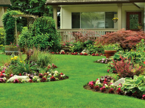Read the article: How to Grow Grass in Shaded Areas