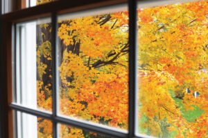 Read the article: How to Choose Replacement Windows