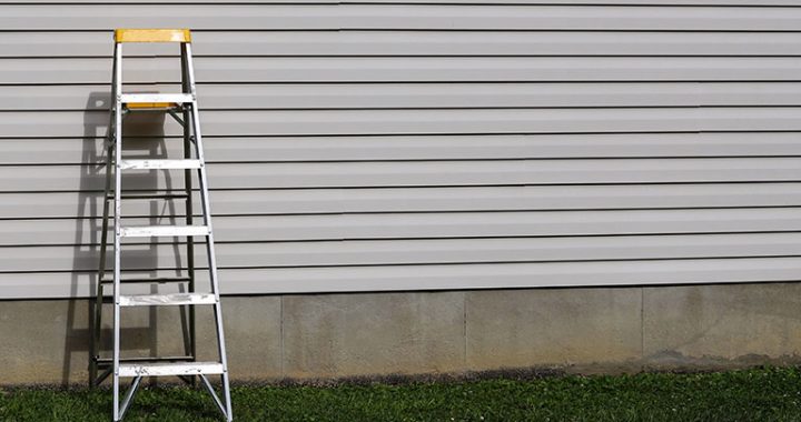 Outdoor Siding with Ladder