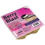 Berry Blast Suet, Bird Food On Sale