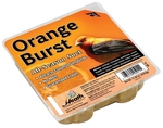 Orange Burst Suet, Bird Food On Sale