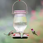 Rose Gold Hummingbird Feeder On Sale